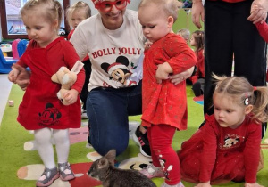 Niedźwiadki podczas spotkania z kangurkiem.